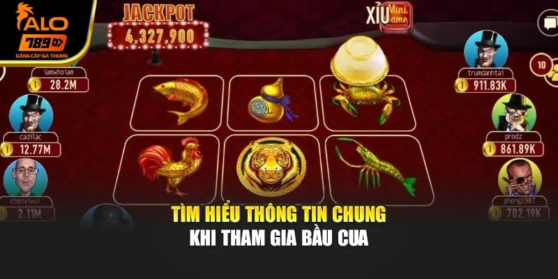 Tìm hiểu thông tin chung khi tham gia bầu cua