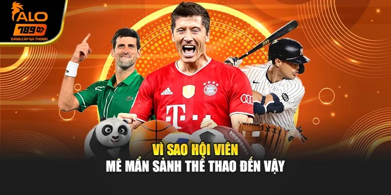 Vì sao hội viên mê mẩn sảnh thể thao đến vậy